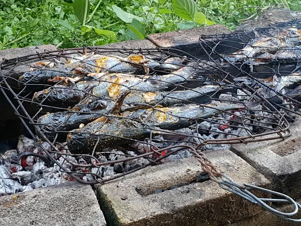 Kızgın Kömürün Üstünde Izgara Yayın Balığı — Stok fotoğraf