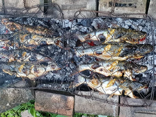 Grilled Catfish Hot Charcoal — Stock Photo, Image