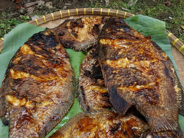 Grilled Gurame Fish Traditional Way — Stock Photo, Image