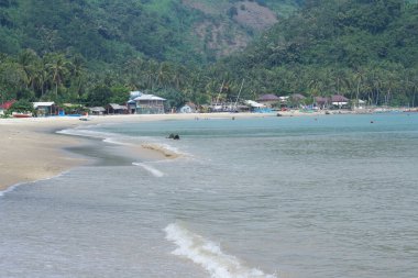 Denizin sahillerinde hurma ağaçları ve küçük gemiler vardır.