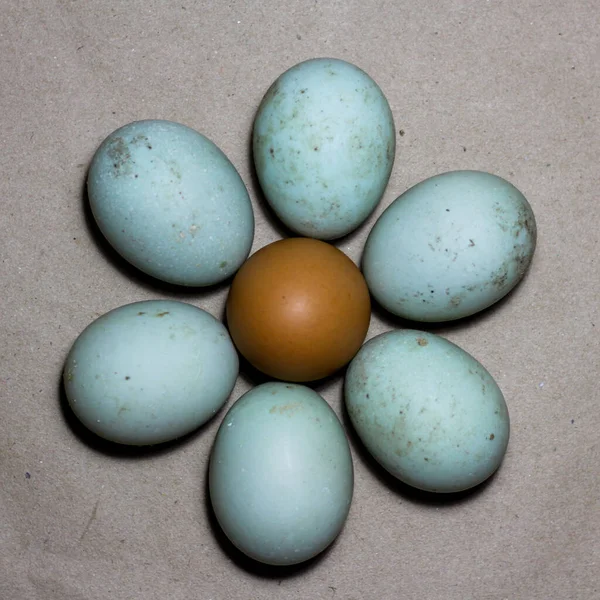 Ovos Galinha Uma Superfície Branca — Fotografia de Stock