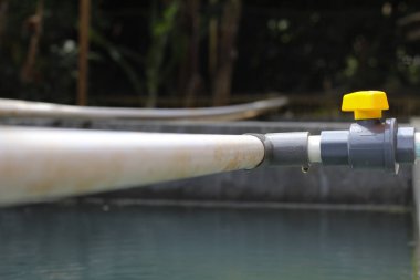 Bahçedeki su borusu.