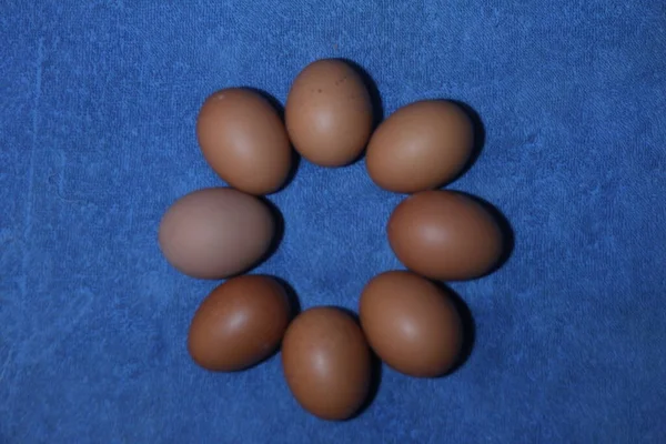 Mavi Arka Planda Taze Yumurtalar Üst Manzara — Stok fotoğraf