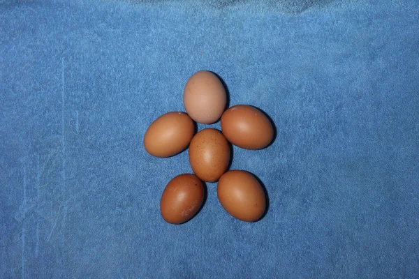 Frische Eier Auf Blauem Hintergrund Draufsicht — Stockfoto
