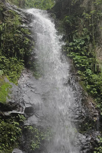 Waterval Het Bos — Stockfoto