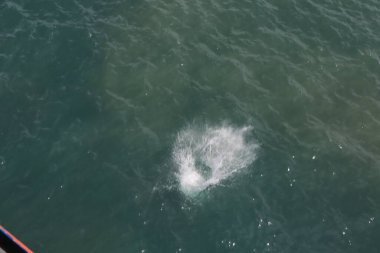 Limandaki iskeleden okyanusa atlayan genç adam 