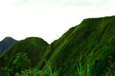 Dağları yemyeşil yapraklarla kaplı güzel bir manzara.  