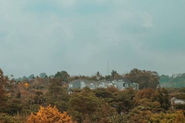 Adanın güzel manzarası. Kuzeydeki en kirli şehirlerin adası.