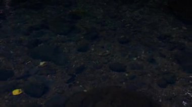 Nehir suyu çok temiz, kayalar görülebilir, Way Tebing Cepa hamamı, Güney Lampung