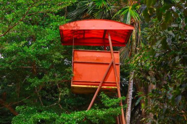 Ormandaki yemyeşil tropikal yaprağın ortasında Kırmızı Gözcü Kulesi