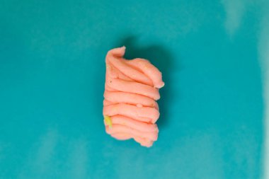 Aqua arka planında narin bir gül yaprağı düzenlemesi, minimalist tarzda.