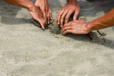 Kumsalda kumun ortak tasarımı, iş yerinde ellerini gösteriyor..