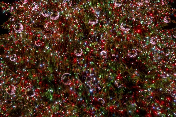 Kırmızı Beyaz Yeşil Noel Ağacı Işıkları Görüntüyü Bulanıklaştırdı Açık Havada — Stok fotoğraf