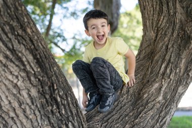 Ağaçta oynayan mutlu çocuk. Küçük çocuk yazın ağaca tırmanıyor. Mikro mutluluk anları.
