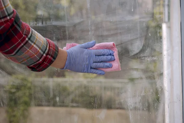 Woman hand in blue gloves cleaning window in home with pink rag.Housework concept. Closeup photo.