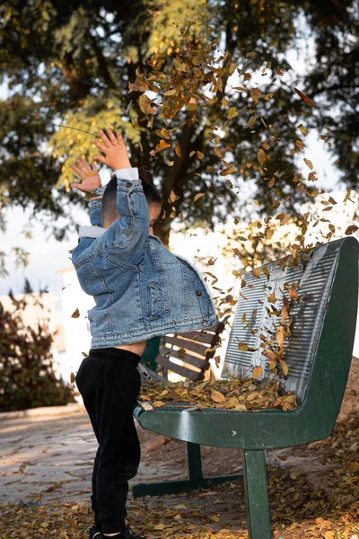 Маленький Мальчик Наслаждается Прекрасным Осенним Днем Парке Собирая Выбрасывая Желтые — стоковое фото