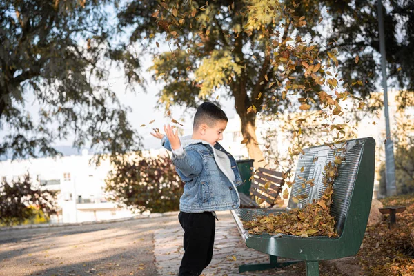Маленький Мальчик Наслаждается Прекрасным Осенним Днем Парке Собирая Выбрасывая Желтые — стоковое фото