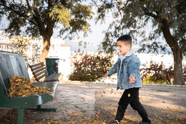 Молодий Хлопчик Насолоджується Прекрасним Осіннім Днем Парку Збираючи Кидаючи Жовте — стокове фото
