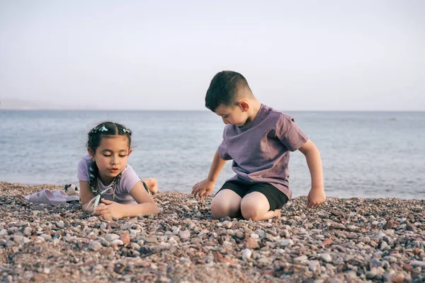 Діти Показують Один Одному Морську Гальку Двоє Дітей Відпочивають Морському — стокове фото