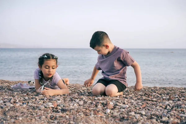 Kinder Zeigen Einander Kieselsteine Zwei Kinder Entspannen Sich Strand Sommer lizenzfreie Stockbilder