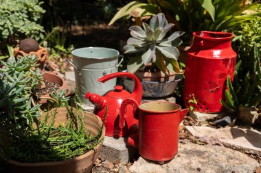 Sunlit Garden 'da, Succulents Flourish in Pots yanında Vintage Obtems Yeniden Kullanılan Çevre dostu ve yaratıcı bahçe tasarımı ve Yeşil Estetik.