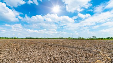 landscape scenery a meadow soil in a rice field Preparation of paddy field for sowing the rice seed with fluffy clouds blue sky daylight background.