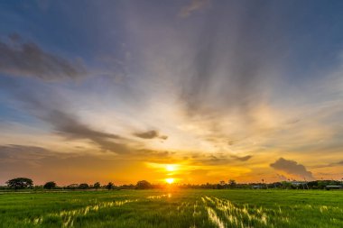 Alacakaranlık mavisi parlak ve turuncu sarı dramatik günbatımı gökyüzü kırsal ya da plaj renkli bulutlu hava arkaplanlı.