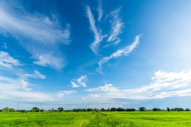 güzel hava atmosferi parlak mavi gökyüzü arkaplan soyut beyaz bulutlu berrak doku.