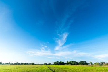 güzel hava atmosferi parlak mavi gökyüzü arkaplan soyut beyaz bulutlu berrak doku.