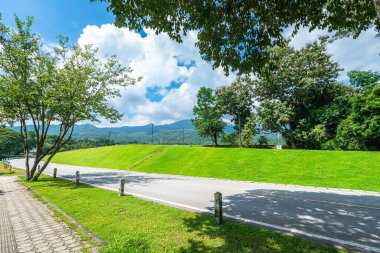Halka açık bir yer geniş bir çim ve Park 'ta büyük bir ağaç manzarası ile rahatlamak için doğal orman dağ manzarası Chiang Mai Üniversitesi' nde beyaz bulutlu bir arka plan..