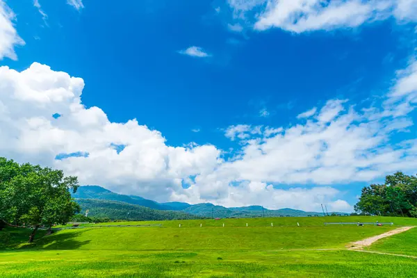 自然の森の山の景色を望む美しい景色の緑の草 空気の明るい青空の背景 白い雲が付いている抽象的な明確な背景の質 — ストック写真