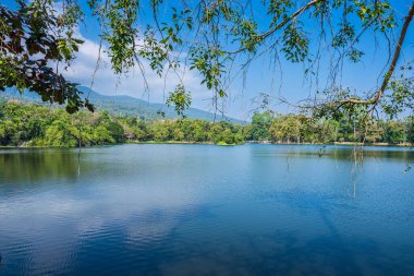 Ang Kaew Chiang Mai Üniversitesi 'nde ve Doi Suthep doğa ormanlarında halka açık bir gezi gölü manzarası..