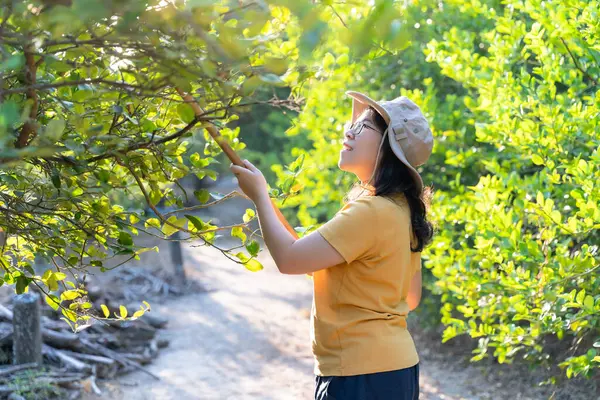 Gülümseyen Asyalı kadın portresi çiftlik bahçesi bahçesinde yeşil limon toplayan bir şapka takıyor. Köylü yaşam tarzı, dışarıdaki kameralara bakmak. Çiftçi ve organik limon çiftliği kavramı.