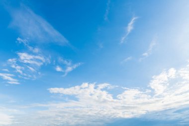 Güzel pirinç tarlası yeşil çimen, tarla tarlası, hava atmosferi parlak mavi arka plan, soyut açık doku, beyaz bulutlar..