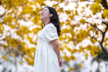 Mutlu rahatlatıcı Asyalı güzel çiçekli güzel sarı Tabebuia Chrysotricha çiçekli kadın bahar günü parkla birlikte Tayland 'da akşam arkaplanında.
