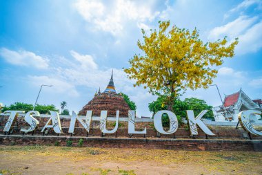 Phitsanulok şehri ve Phra Chedi Luang 'daki Park' taki Altın Cassia fistül çiçekleri (Wat Ratchaburana) Phitsanulok Tayland 'da önemli bir turistik ilgi odağı.