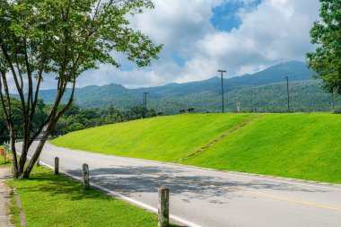 Halka açık bir yer geniş bir çim ve Park 'ta büyük bir ağaç manzarası ile rahatlamak için doğal orman dağ manzarası Chiang Mai Üniversitesi' nde beyaz bulutlu bir arka plan..