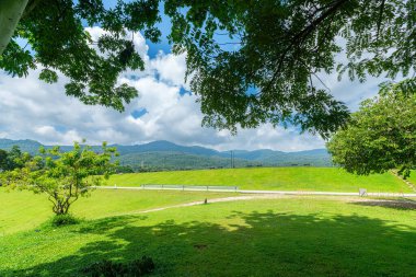 güzel yeşil çimenler doğa orman dağ manzaraları hava atmosferi parlak mavi gökyüzü arkaplan soyut beyaz bulutlu açık arkaplan dokusu.