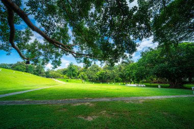 güzel yeşil çimenler doğa orman dağ manzaraları hava atmosferi parlak mavi gökyüzü arkaplan soyut beyaz bulutlu açık arkaplan dokusu.