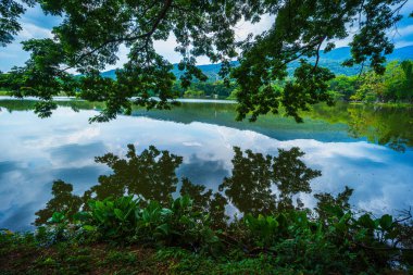 Ang Kaew Chiang Mai Üniversitesi 'nde ve Doi Suthep doğa ormanlarında halka açık bir gezi gölü manzarası..