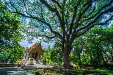 Wat Chet Yot veya Wat Photharam Maha Wihan, 7 pagoda tapınağı Tayland 'ın Chiang Mai şehrinde önemli bir turistik merkezdir..