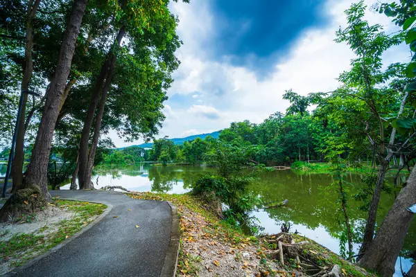 Ang Kaew Chiang Mai Üniversitesi 'nde ve Doi Suthep doğa ormanlarında halka açık bir gezi gölü manzarası..