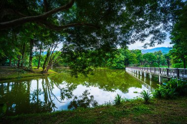 Halka açık bir gezi alanı Ang Kaew Chiang Mai Üniversitesi 'ndeki ahşap köprü gölü manzarası ve Doi Suthep doğa ormanı bahar bulutlu arka planı beyaz bulutlu gökyüzü manzarası.