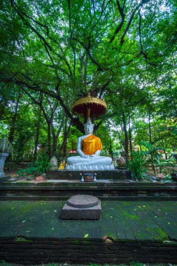 Wat Chet Yot veya Wat Photharam Maha Wihan 'daki eski Buda heykeli, yedi pagoda tapınağı Tayland' ın Chiang Mai şehrinde önemli bir turistik merkezdir..