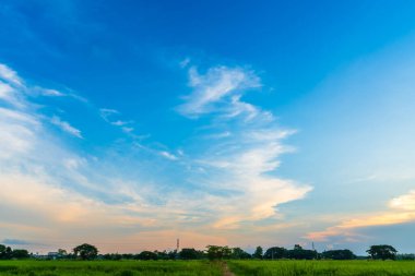 Alacakaranlık mavisi parlak ve turuncu sarı dramatik günbatımı gökyüzü kırsal ya da plaj renkli bulutlu hava arkaplanlı.