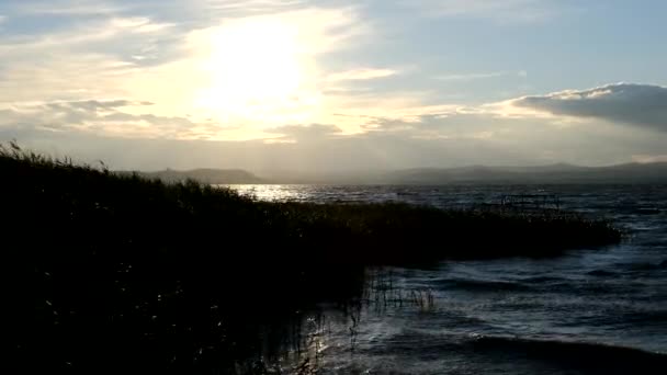 Water Lake Balaton Ripples Stormy Wind — Stock Video