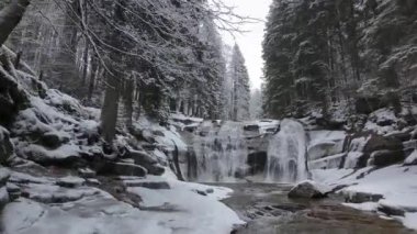 Sakin bir kış sahnesinde, yumuşak karla kaplı ağaçlarla çevrili şelale sergilenir.