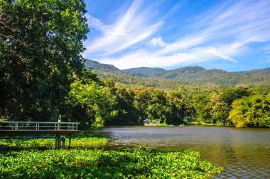 Mavi gökyüzünün altında dağ zeminli bir rezervuar.