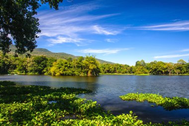 Mavi gökyüzünün altında dağ zeminli bir rezervuar.