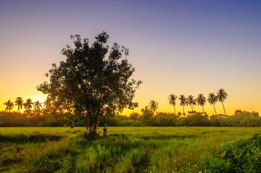 Gün doğumunda kırsal alan